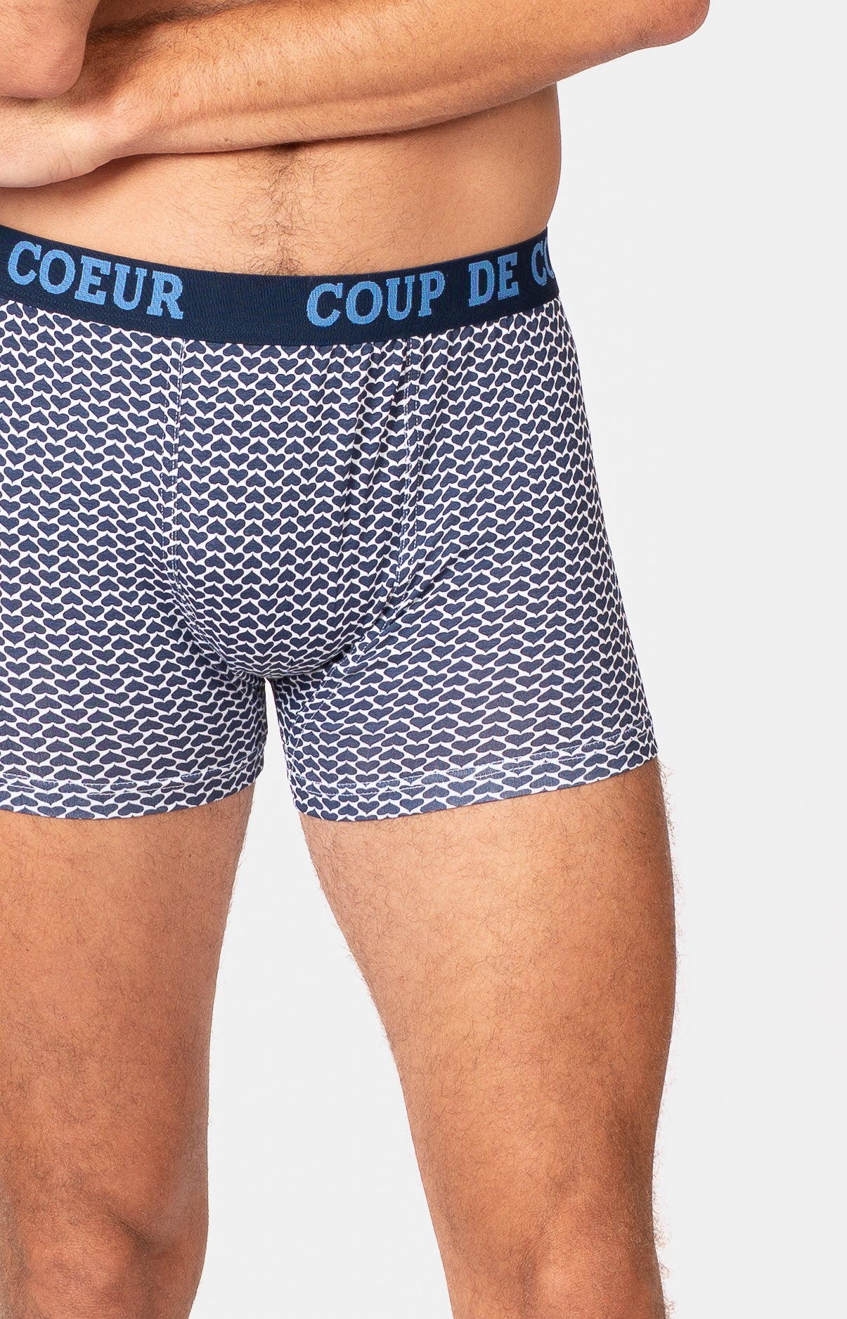 Boxer - BICOEUR