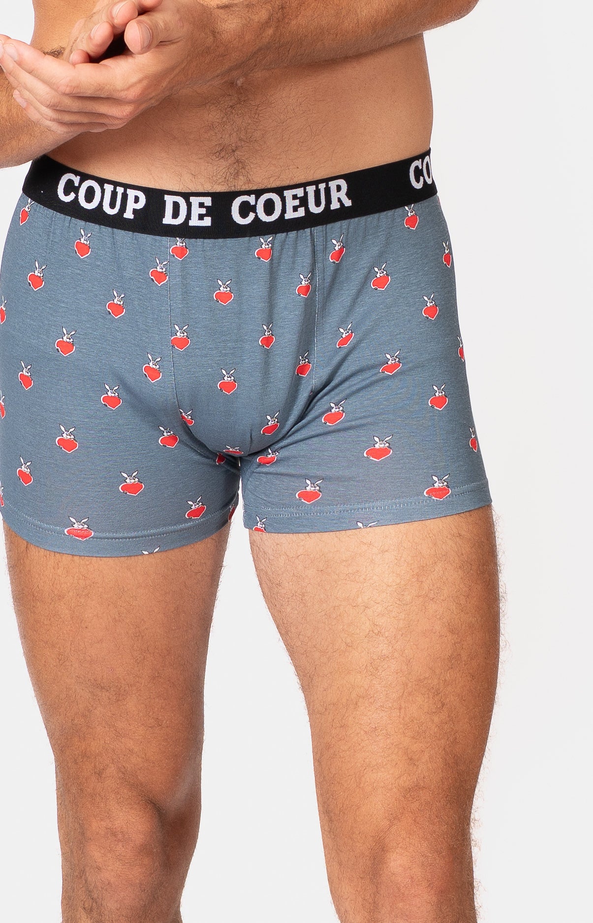 Boxer - CROC