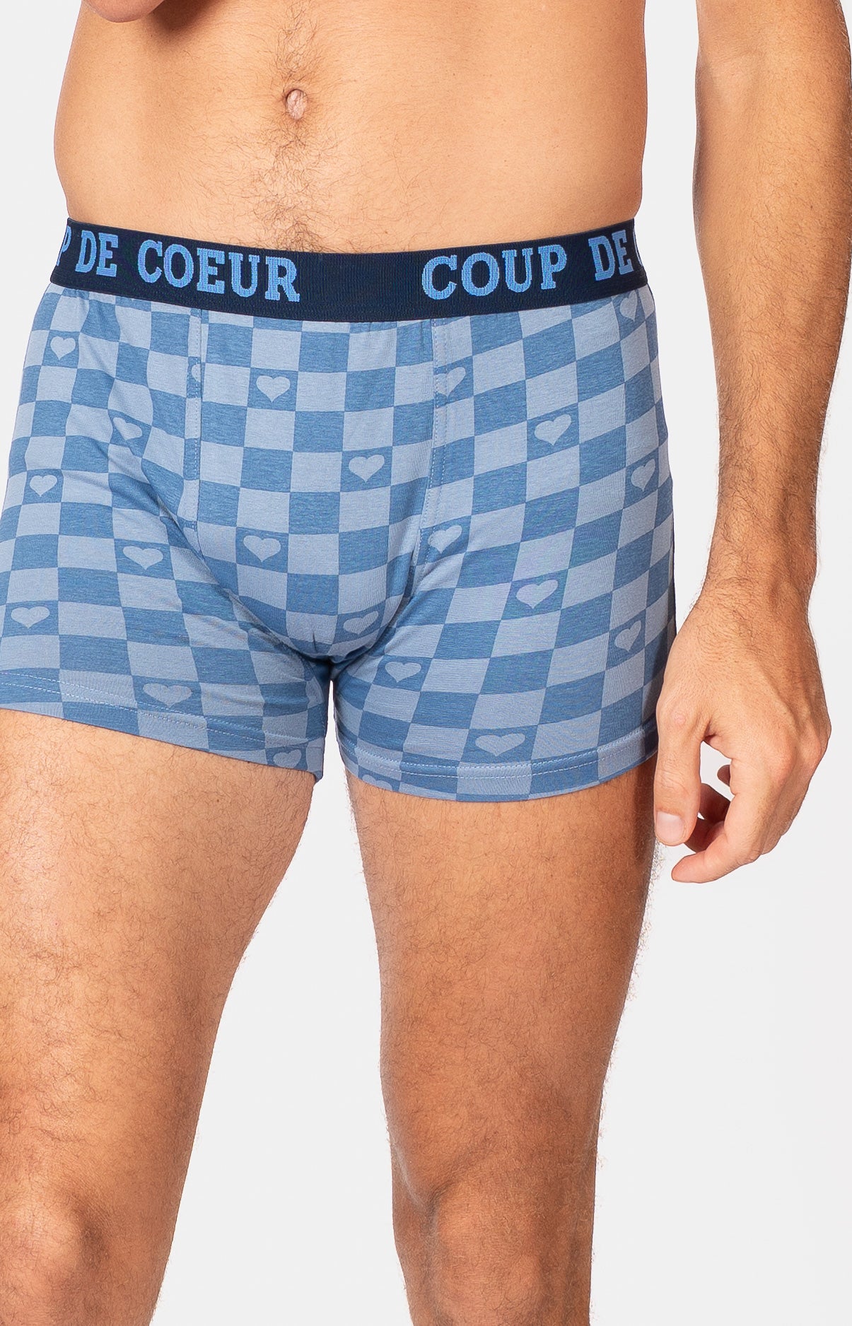 Boxer - DAMIER