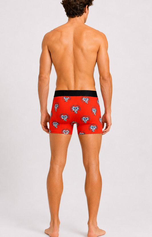 Boxer homme - FLEMME - Taille M, Couleur Orange